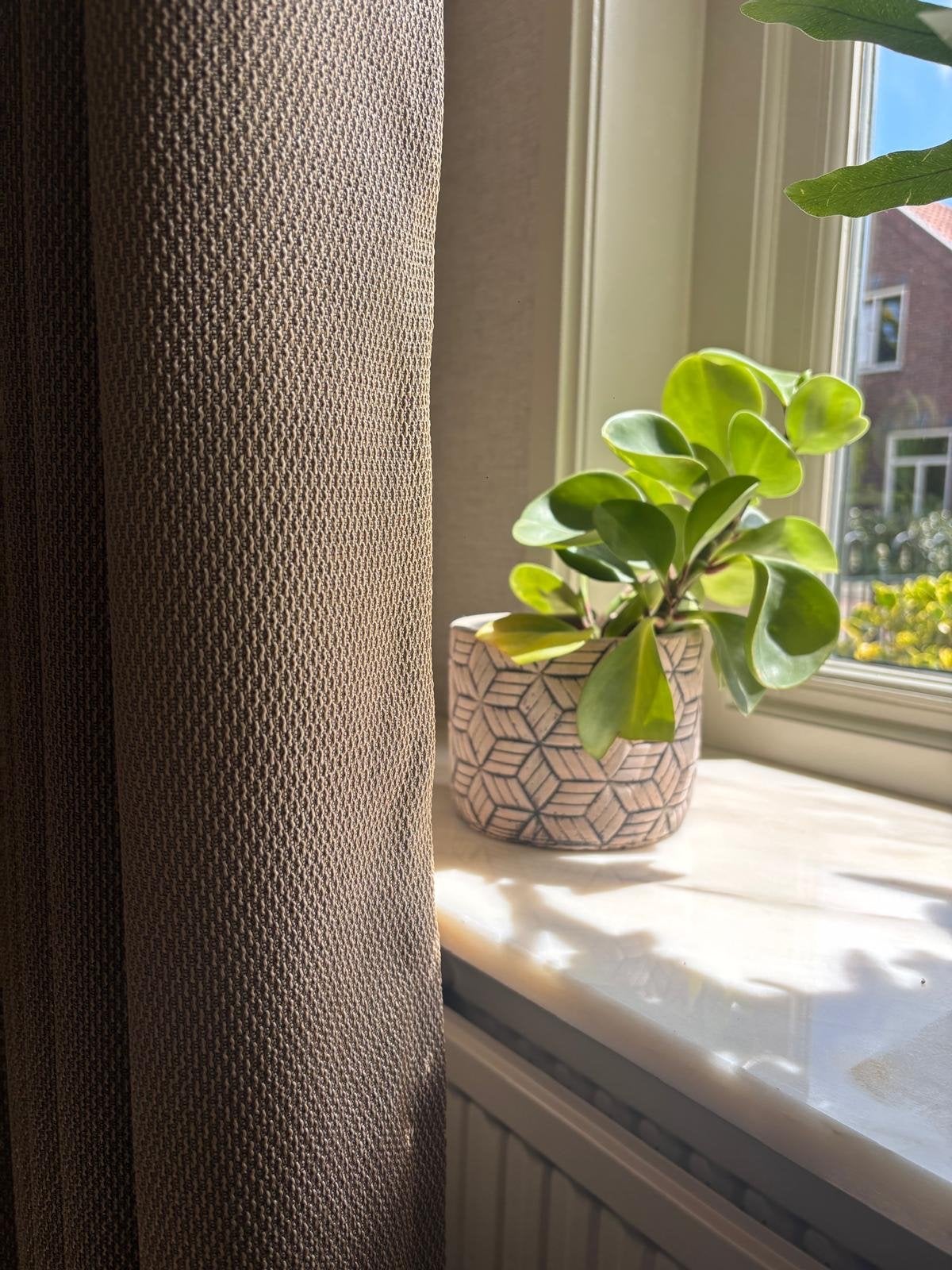 Semi lichtdoorlatende Gordijnen incl rail- donker Beige/goud, Overige merken, Nieuw, Lichtdoorlatend, Polyester