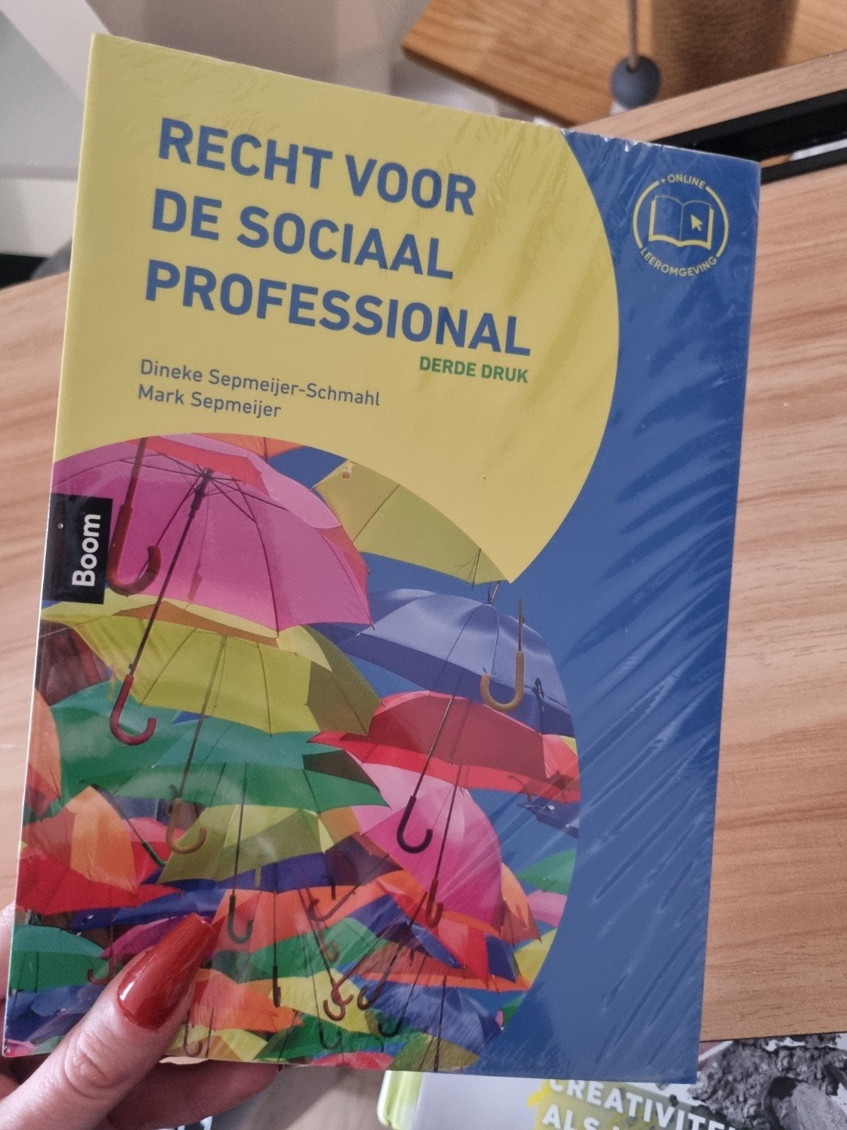 Recht voor de Sociaal Professional - Nieuw in verpakking, Boeken, Dineke Sepmeijer-Schmahl, Mark Sepmeijer, Nieuw, Gamma, HBO