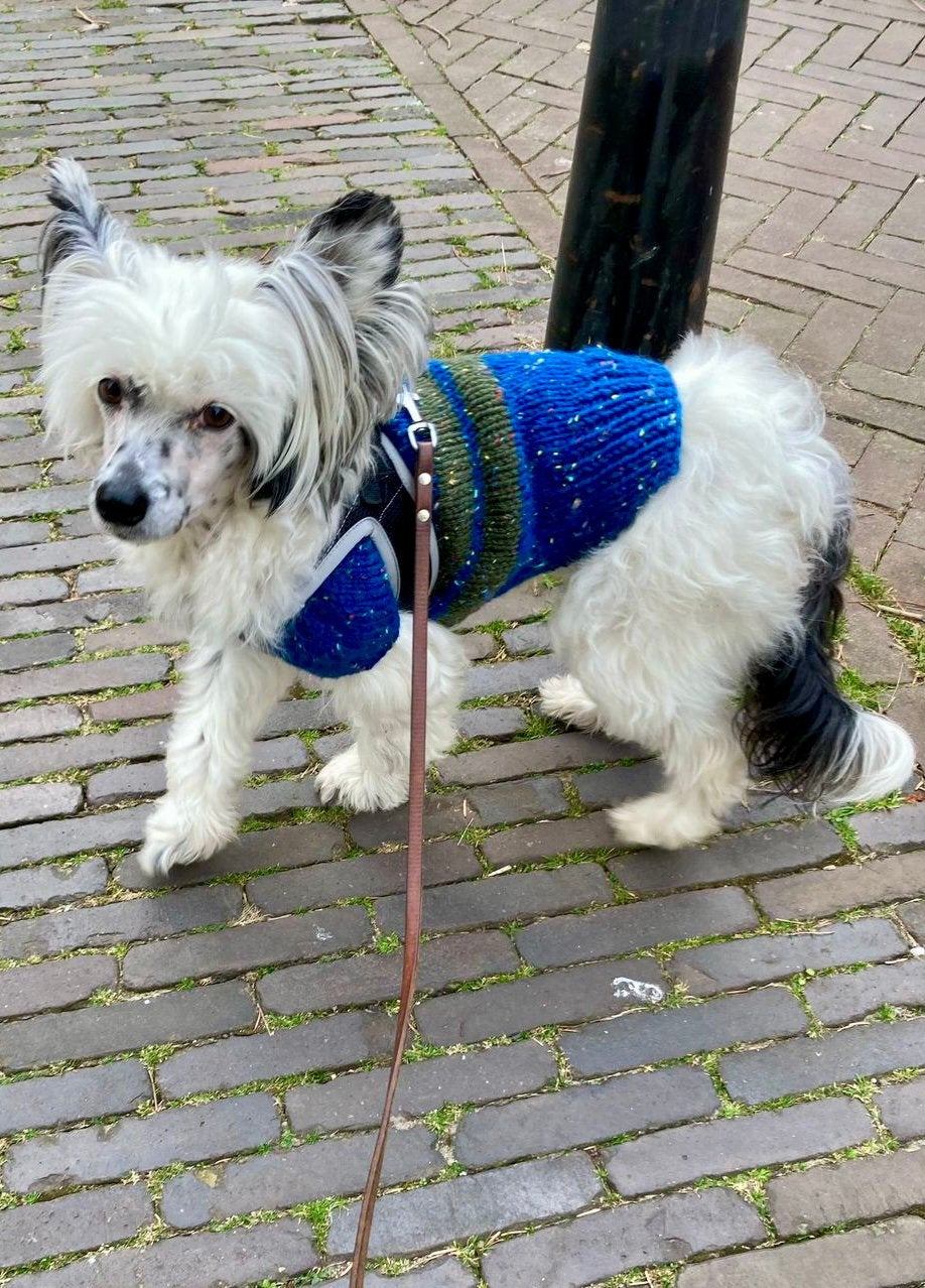HONDENTRUI OP MAAT GEMAAKT Chihuahua Boomer York Pom Pup, Dieren en Toebehoren, Ophalen of Verzenden, Nieuw, Hondentrui, Handgemaakt