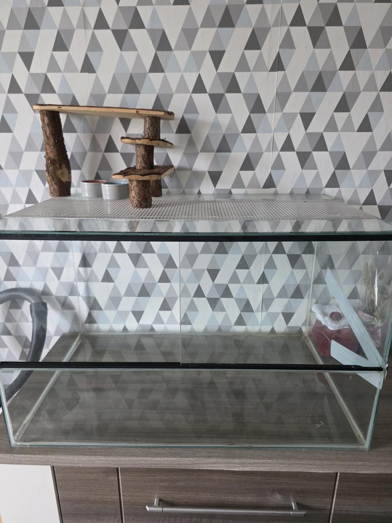 Terrarium, Minder dan 60 cm, Gebruikt, Ophalen of Verzenden, Muis