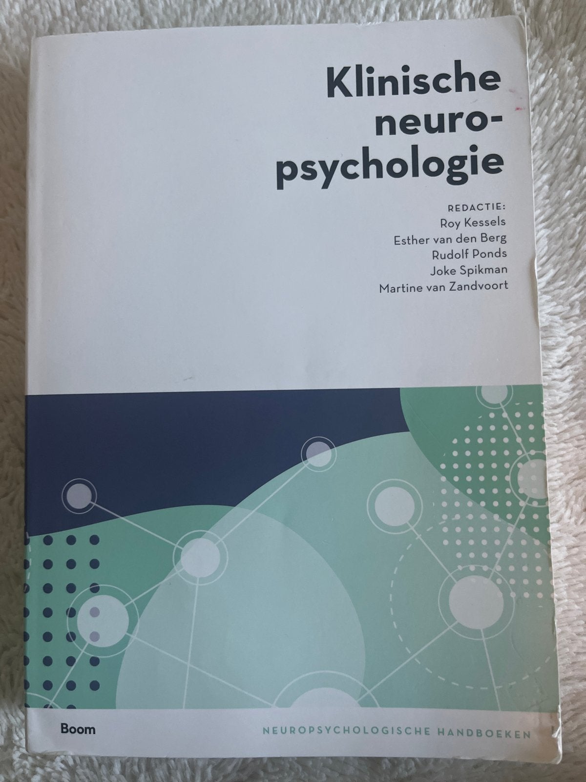 Klinische neuropsychologie - Roy Kessels 2e druk, Boeken, Ophalen of Verzenden, Zo goed als nieuw, Klinische psychologie