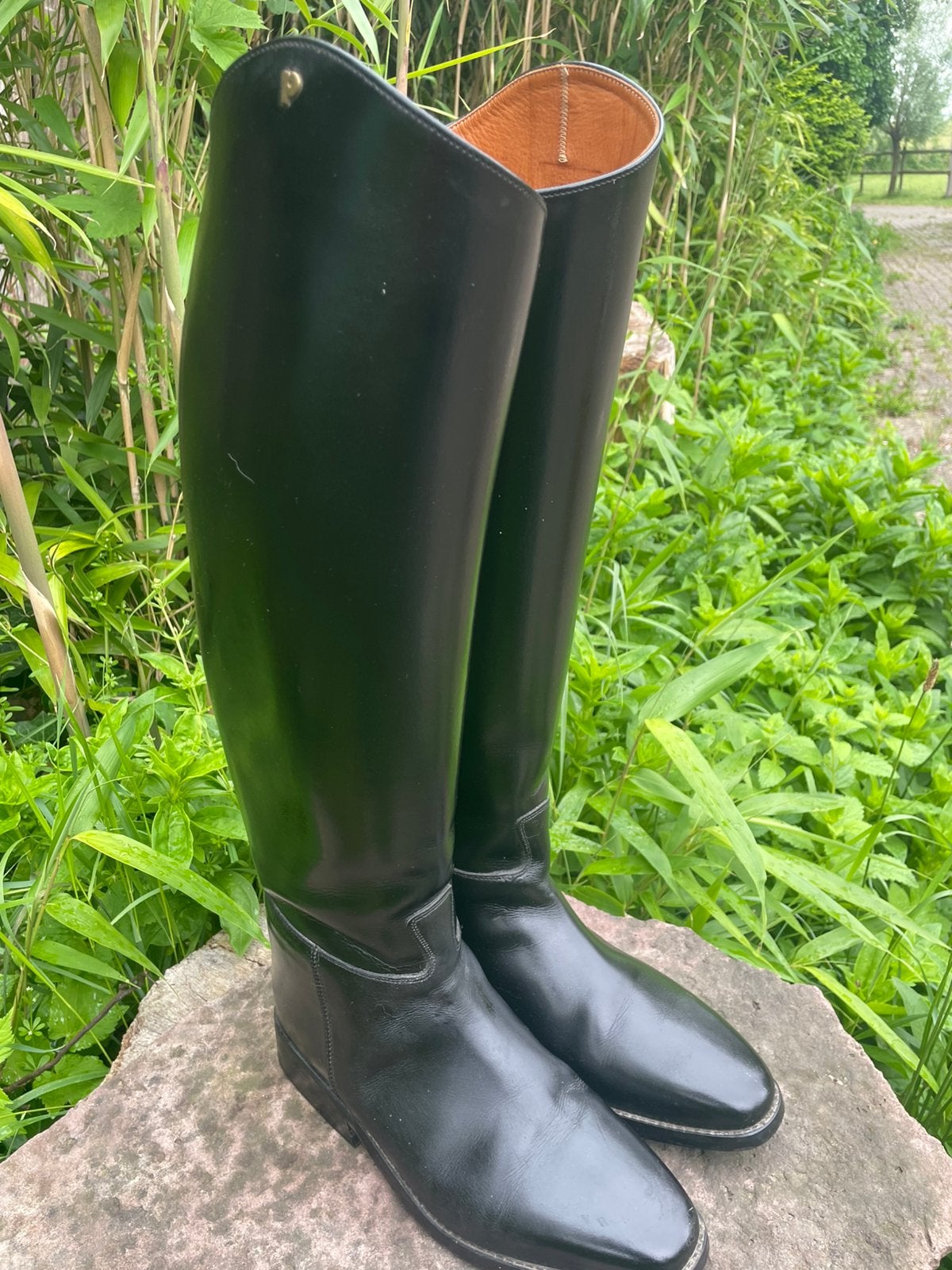 Leren rijlaarzen Petrie mt 40, Ophalen, Zo goed als nieuw, Dressuur, Schoeisel
