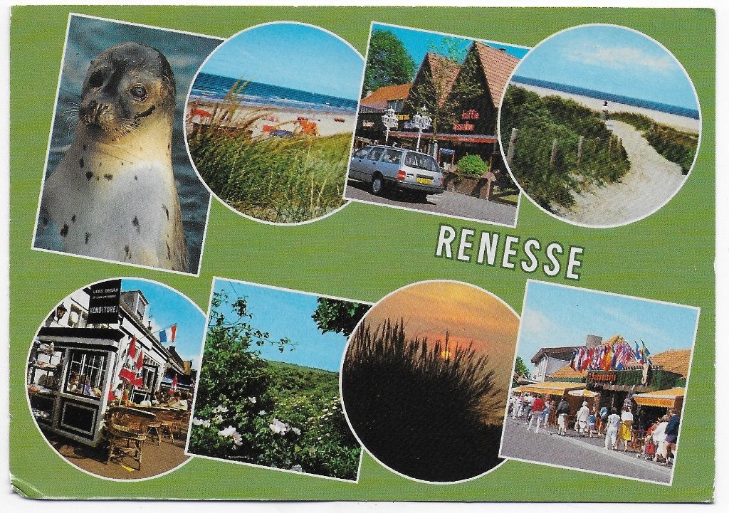 Renesse Gelopen Ansichtkaart ( B5645), Ophalen of Verzenden, 1960 tot 1980, Gelopen