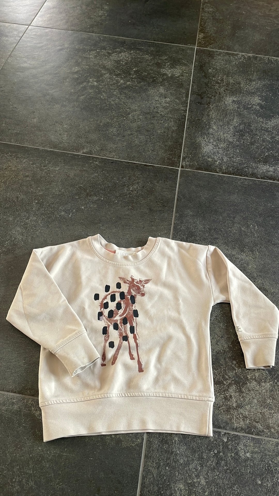 Frankie & Friends trui met giraffe print (maat 98-104), Kinderen en Baby's, Kinderkleding | Maat 104, Ophalen, Gebruikt, Jongen of Meisje