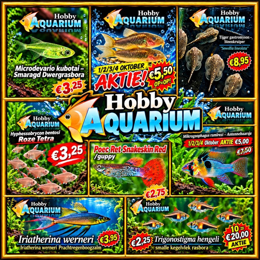 Hobbyaquarium overzicht/prijzen dierendag Zon 4 okt 12/17uur, Vis, Zoetwatervis