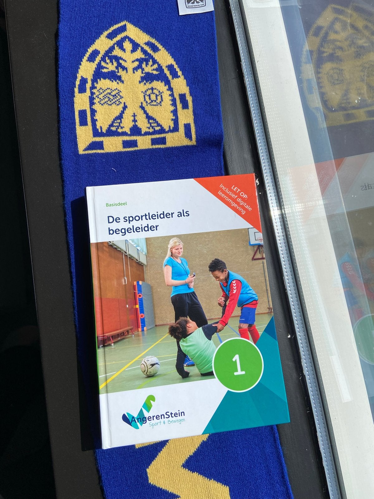 CIOS Sportleider als begeleider/lesgever/organisator (MBO), Ophalen of Verzenden, Zo goed als nieuw, MBO