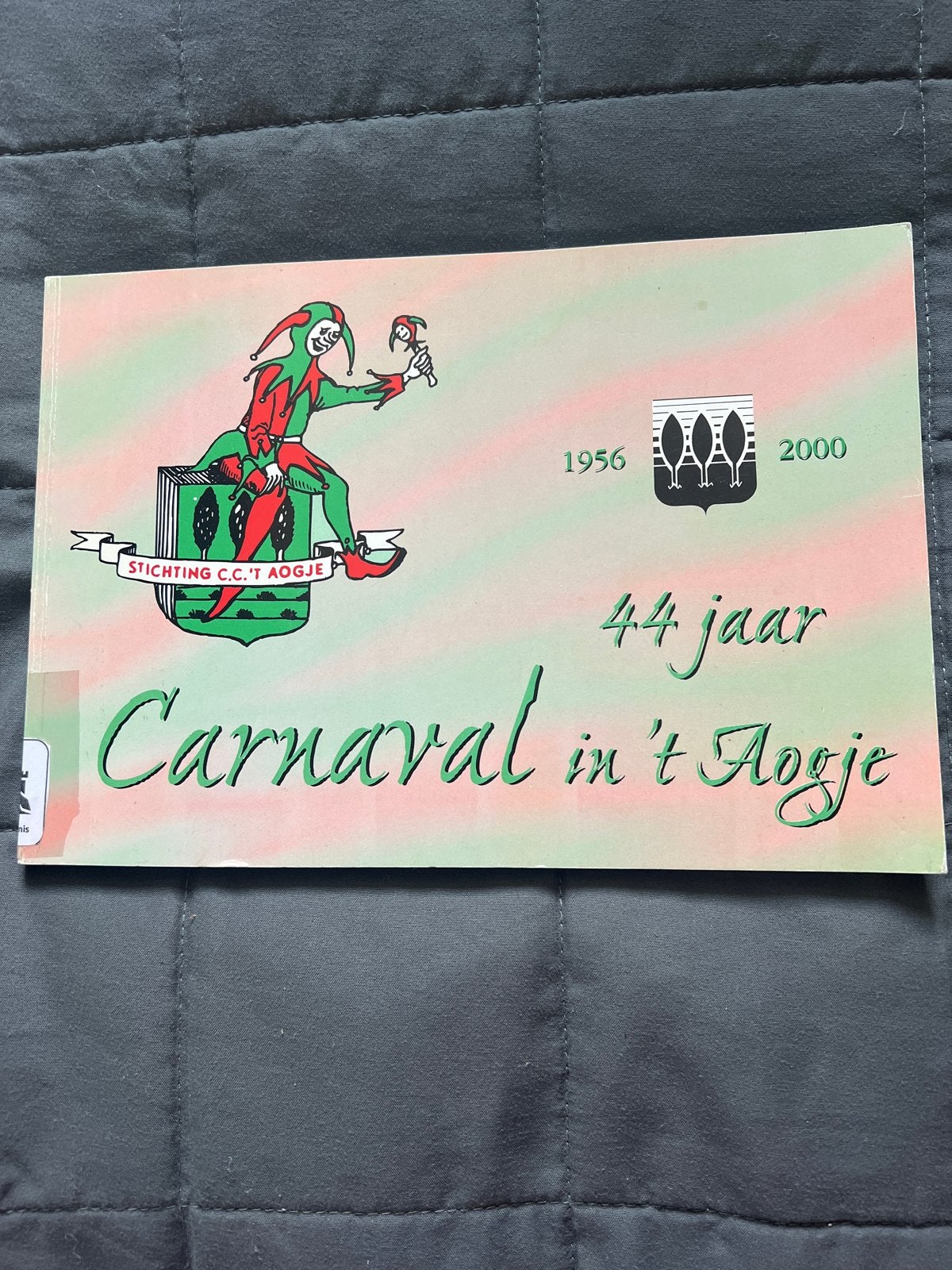 Carnaval in 't Aogje 1956-2000 - 44 jaar jubileum, Ophalen, Zo goed als nieuw, Catalogus