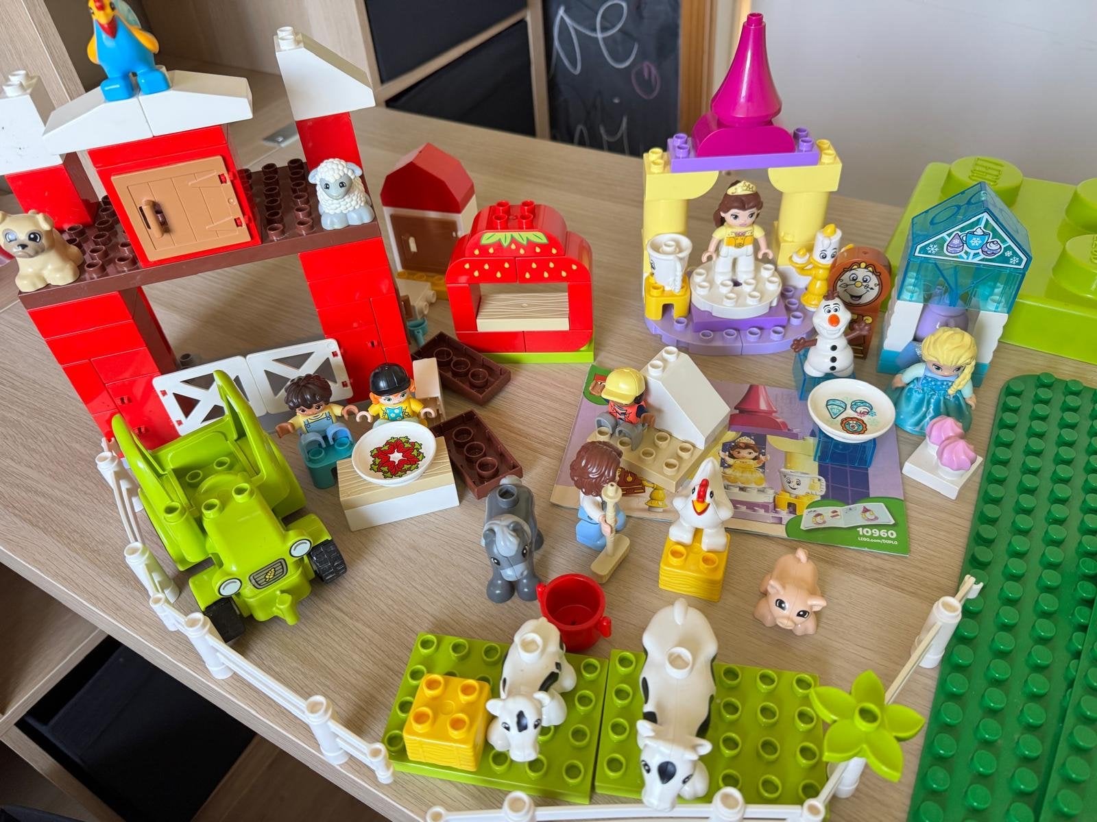 LEGO DUPLO- Divers, Gebruikt, Overige thema's, Overige typen, Ophalen of Verzenden