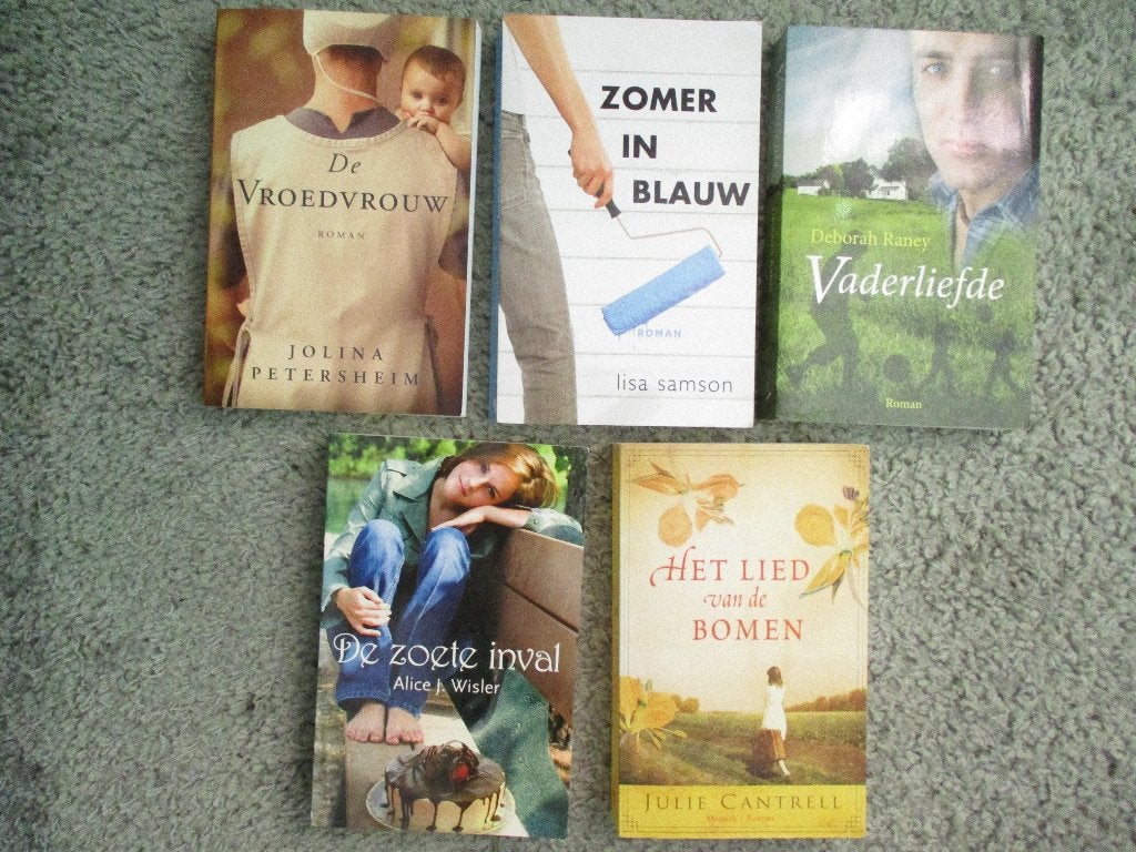 Deborah Raney, De vroedvrouw etc 5 x christelijke romans, Boeken, Ophalen of Verzenden, Gelezen