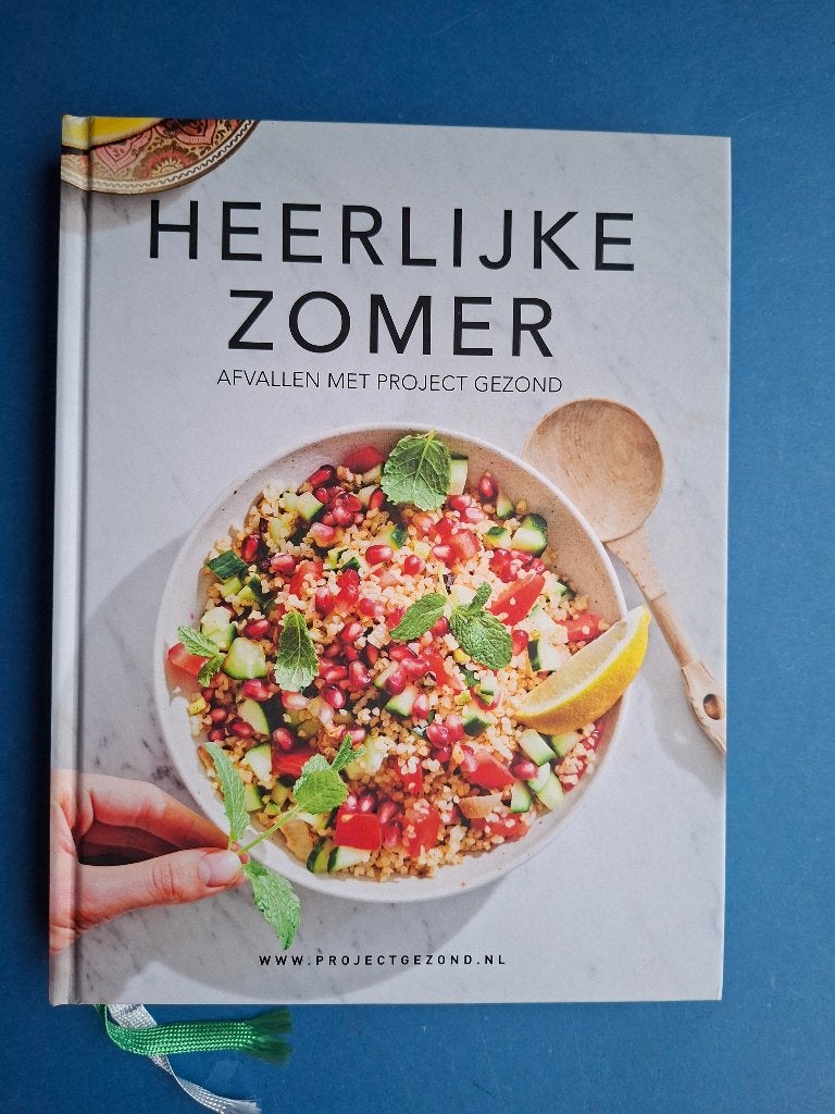 Heerlijke zomer Afvallen met Project Gezond*Natalia Rakhorst, Verzenden, Zo goed als nieuw
