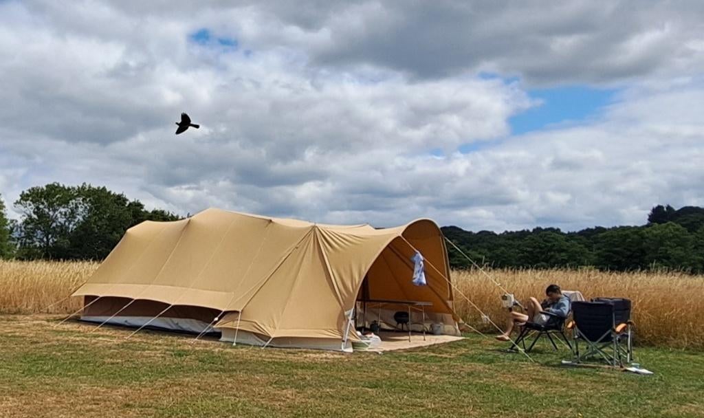 Smitveld Ruebist Elegance incl. Stalling!, Ophalen, Aanwezig, Tot en met 4, Smitveld