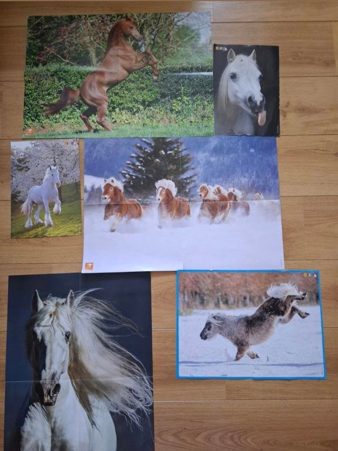 2 stella tijdschriften met 6 posters, Ophalen of Verzenden, Zo goed als nieuw, Sport en Vrije tijd
