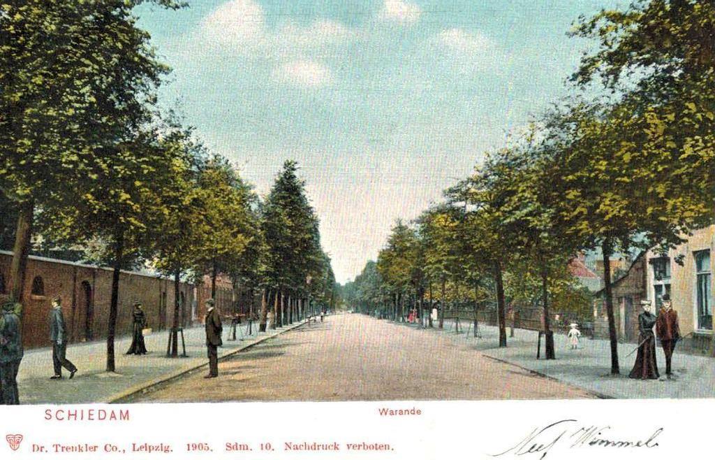 1905 SCHIEDAM Warande, Ophalen of Verzenden, Voor 1920, Gelopen, Zuid-Holland
