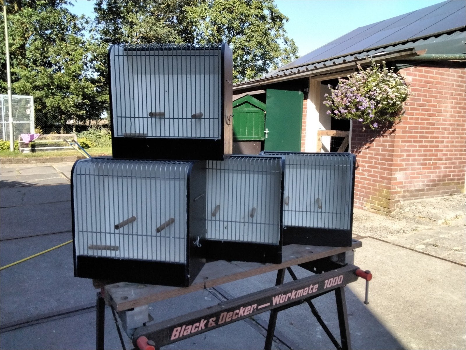 Tentoonstellingskooi, Dieren en Toebehoren, Ophalen, Vogelkooi