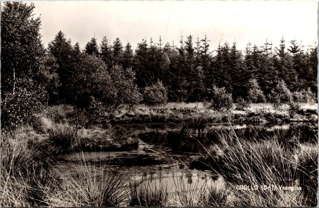 Grolloo - 6 oude ansichtkaarten, Verzenden, 1960 tot 1980, Gelopen, Drenthe