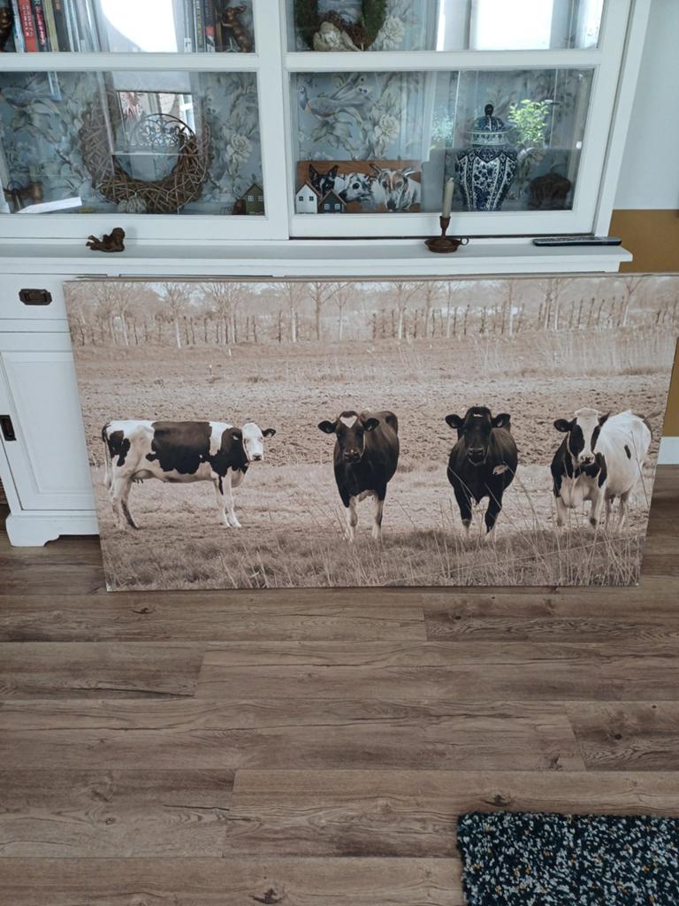 Groot canvas koeien 160 bij 90, Ophalen