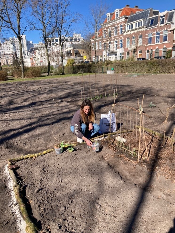 Ecologisch hovenier en tuinadvies, Ophalen of Verzenden, Volle zon