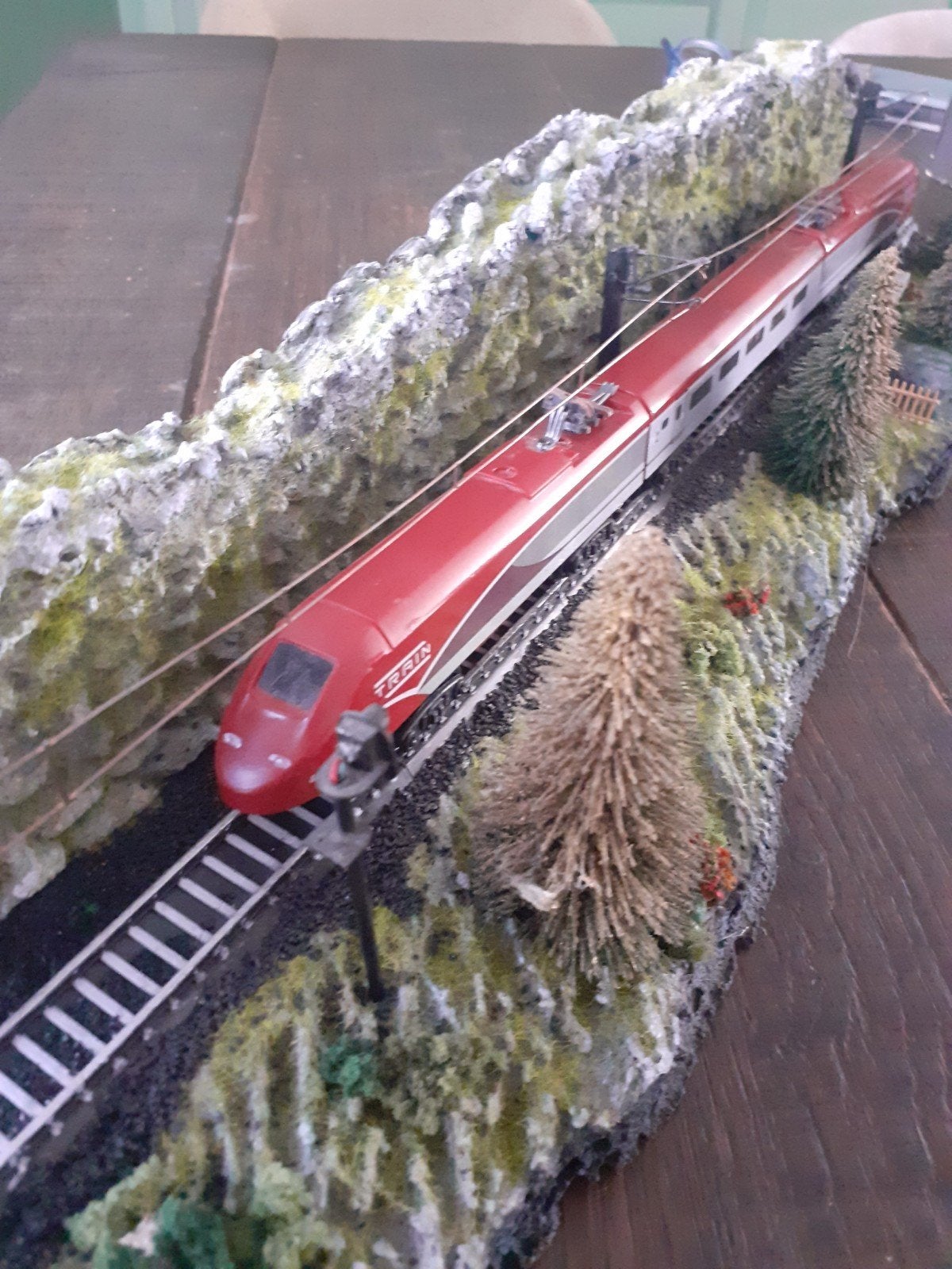 Statisch model van de TGV op diorama, Ophalen of Verzenden, Zo goed als nieuw, Treinset