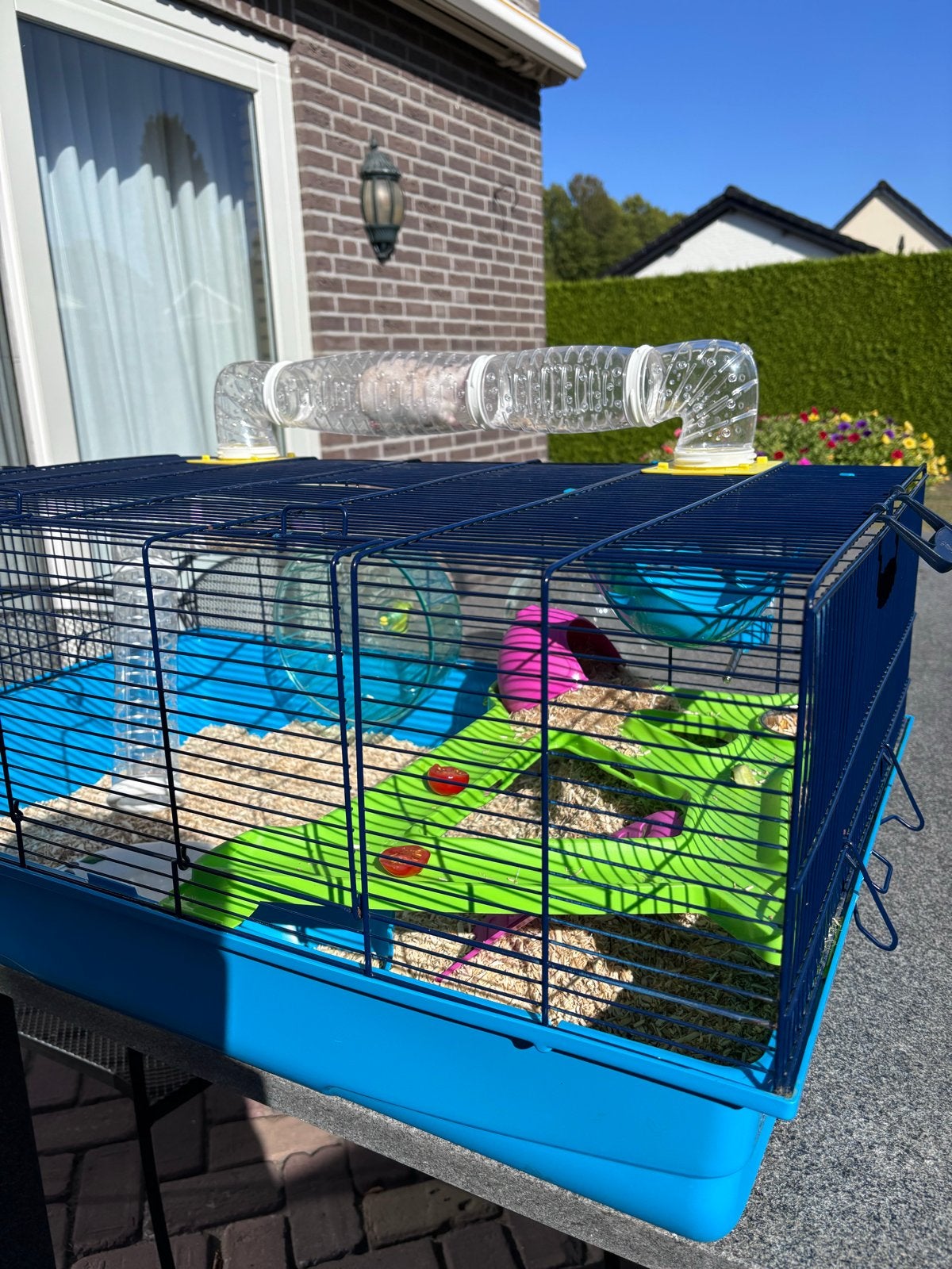 Dwerghamster met grote kooi, Kooi, Minder dan 75 cm, Zo goed als nieuw, Hamster
