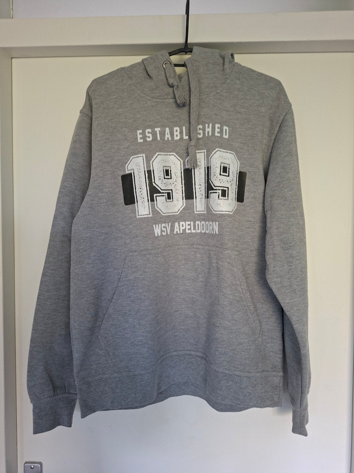 hoodie trui grijs wsv maat m, Ophalen of Verzenden, Gedragen, Grijs