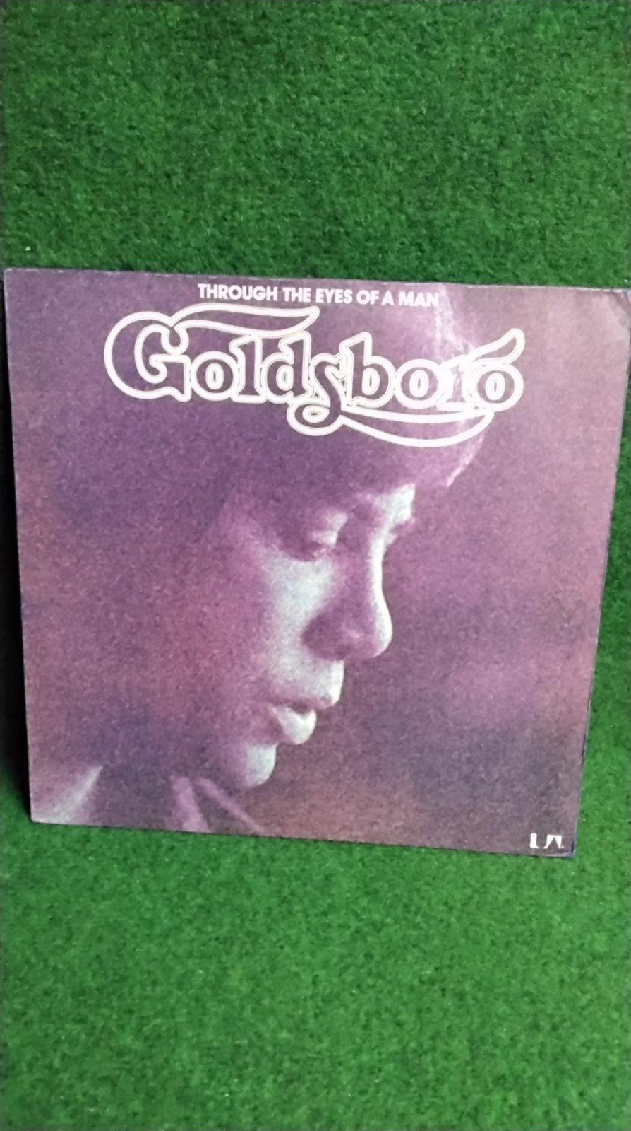 BOBBY  GOLDSBORO, Cd's en Dvd's, Vinyl | Country en Western, Ophalen of Verzenden, Gebruikt, 12 inch