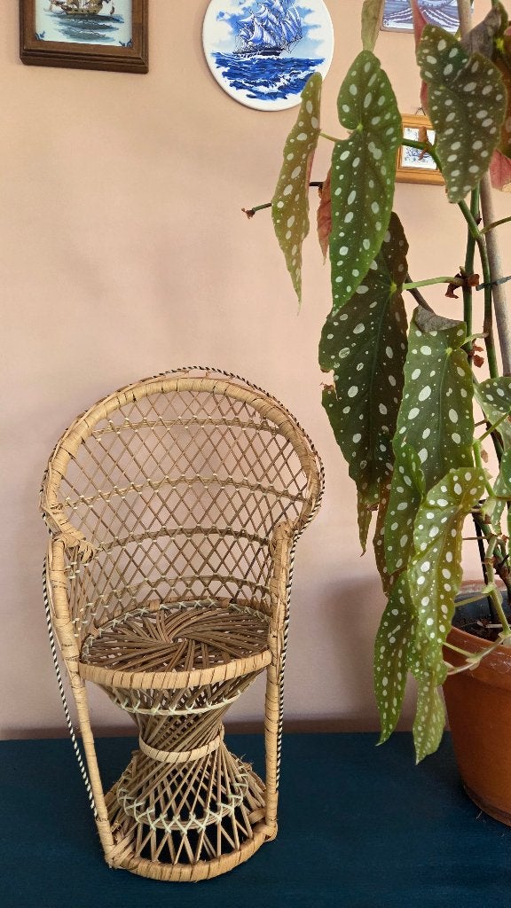 Vintage Rotan Miniatuur Pauwenstoel / Plantenstandaard Boho, Ophalen of Verzenden, Bruin, Eén