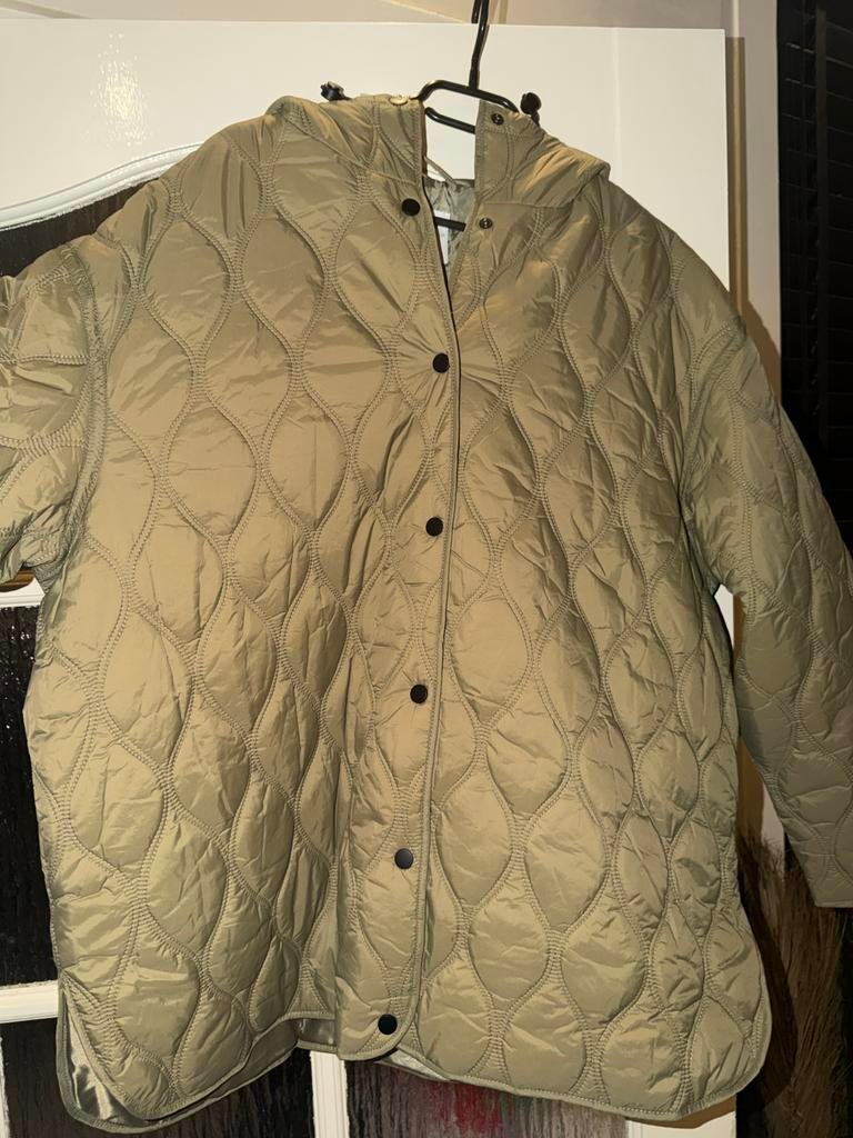 Nieuwe Primark gewatteerde jas met capuchon, maat L, Kleding | Dames, Jassen | Winter, Ophalen of Verzenden, Nieuw, Maat 42/44 (L)