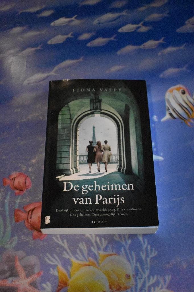 boek van Fiona Valpy/de geheimen van Parijs, Boeken, Romans, Zo goed als nieuw, Ophalen of Verzenden