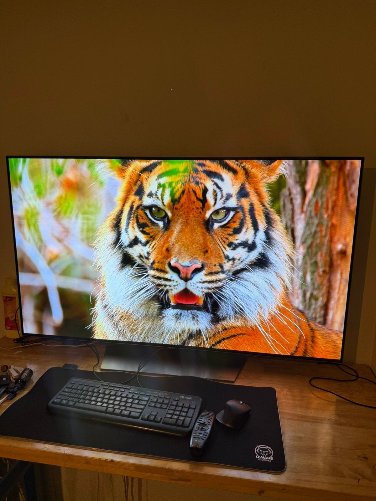 LG oled 55 EG9A7V, Ophalen, 120 Hz, Zo goed als nieuw, 100 cm of meer