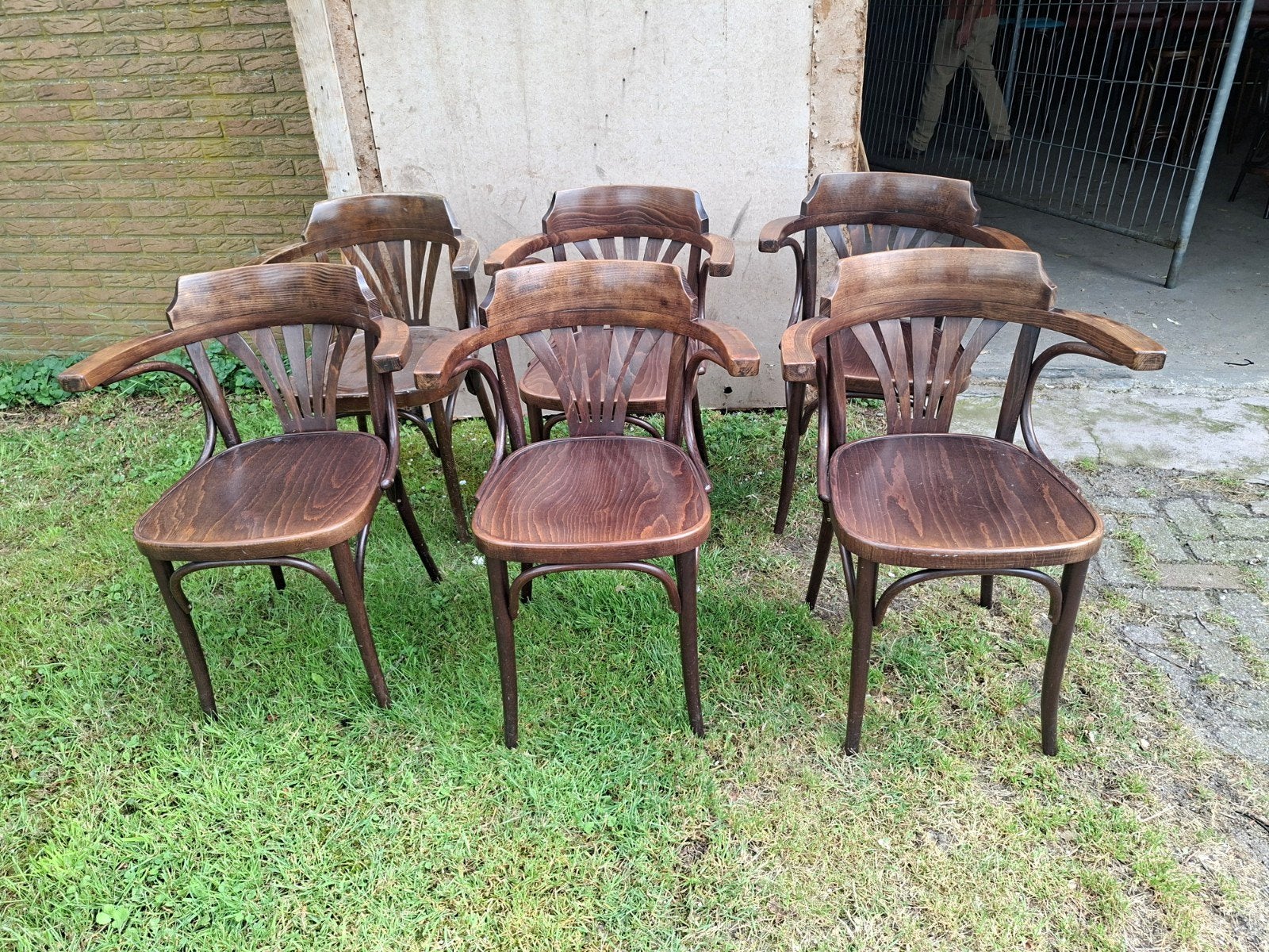 6 Thonet Café Stoelen , cafestoelen, horeca, Ophalen, Gebruikt, Bruin, Vijf, Zes of meer stoelen