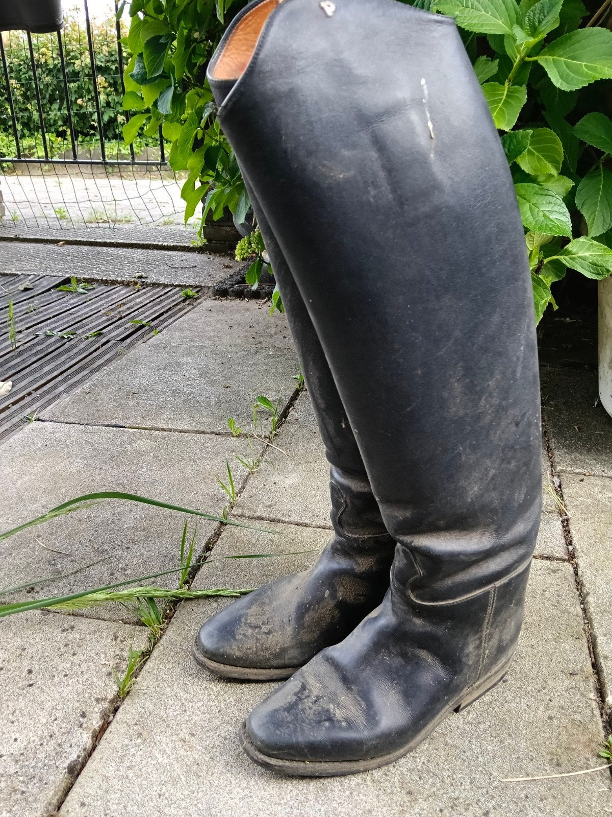 Paard rijlaarzen maat 38, Dieren en Toebehoren, Paardrijkleding, Ophalen of Verzenden