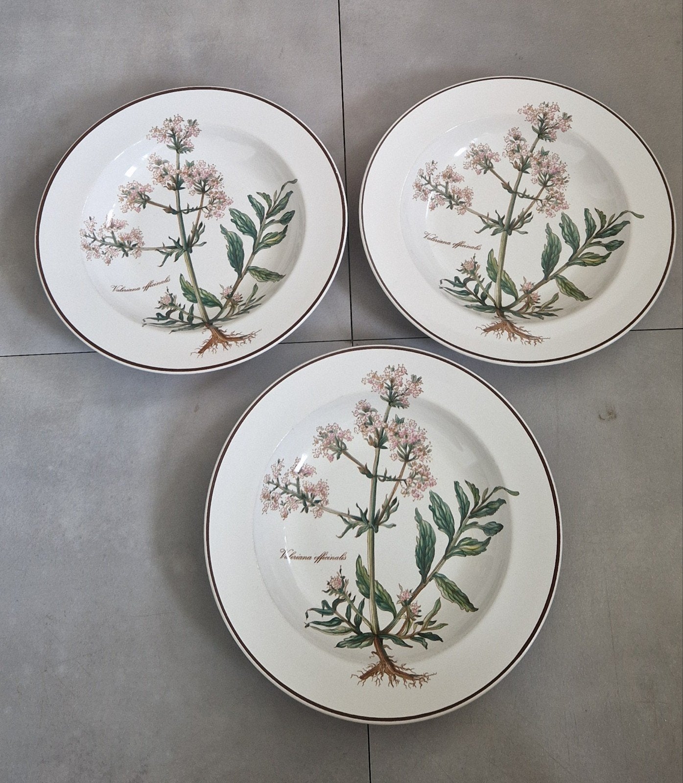 3 Diepe Borden Villeroy & Boch Botanica, Gebruikt, Ophalen of Verzenden, Bord(en), Porselein