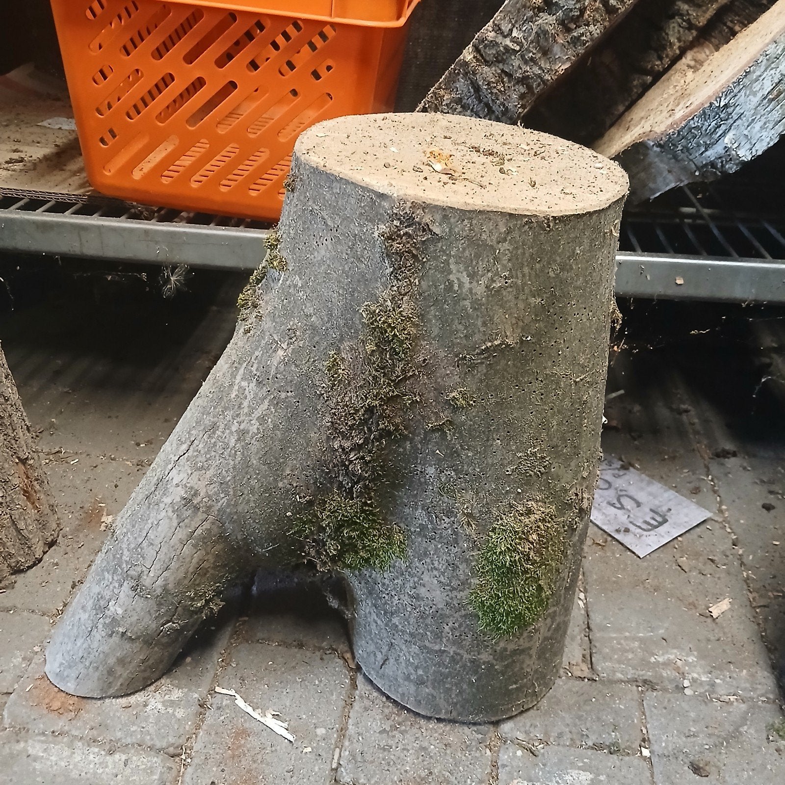 sierlijke boomstam, Minder dan 3 m³, Ophalen