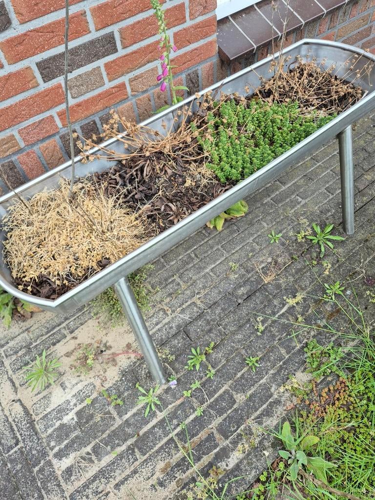 RVS plantenbak / voederbak schapen, Ophalen, Gebruikt, 100 cm of meer, Metaal