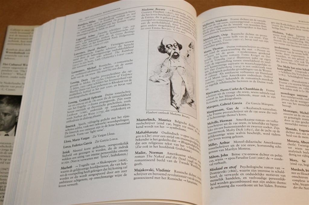 Het Cultureel Woordenboek — Encyclopedie, Dik Boek, Ophalen of Verzenden, Gelezen, Overige gebieden
