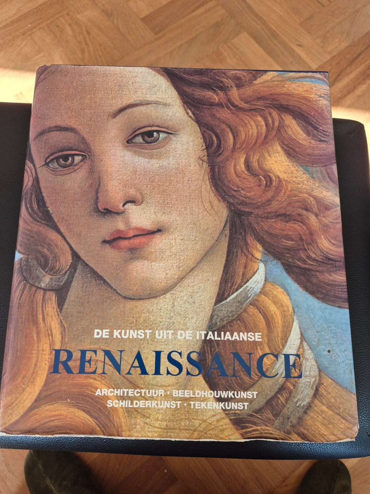 De kunst uit de Italiaanse Renaissance, Ophalen of Verzenden, Zo goed als nieuw