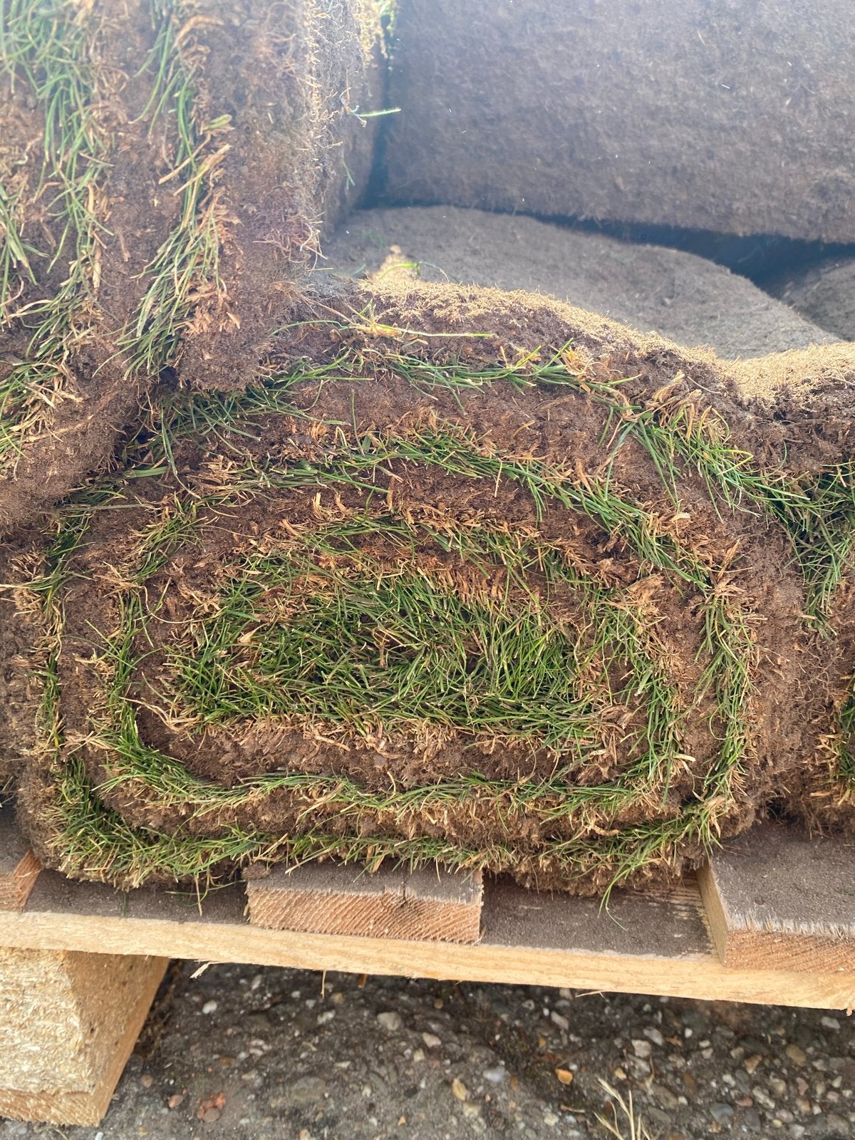 Gratis af te halen: ca. 30m2 graszoden in Drachten, Ophalen, Nieuw, 20 m² of meer, Gras