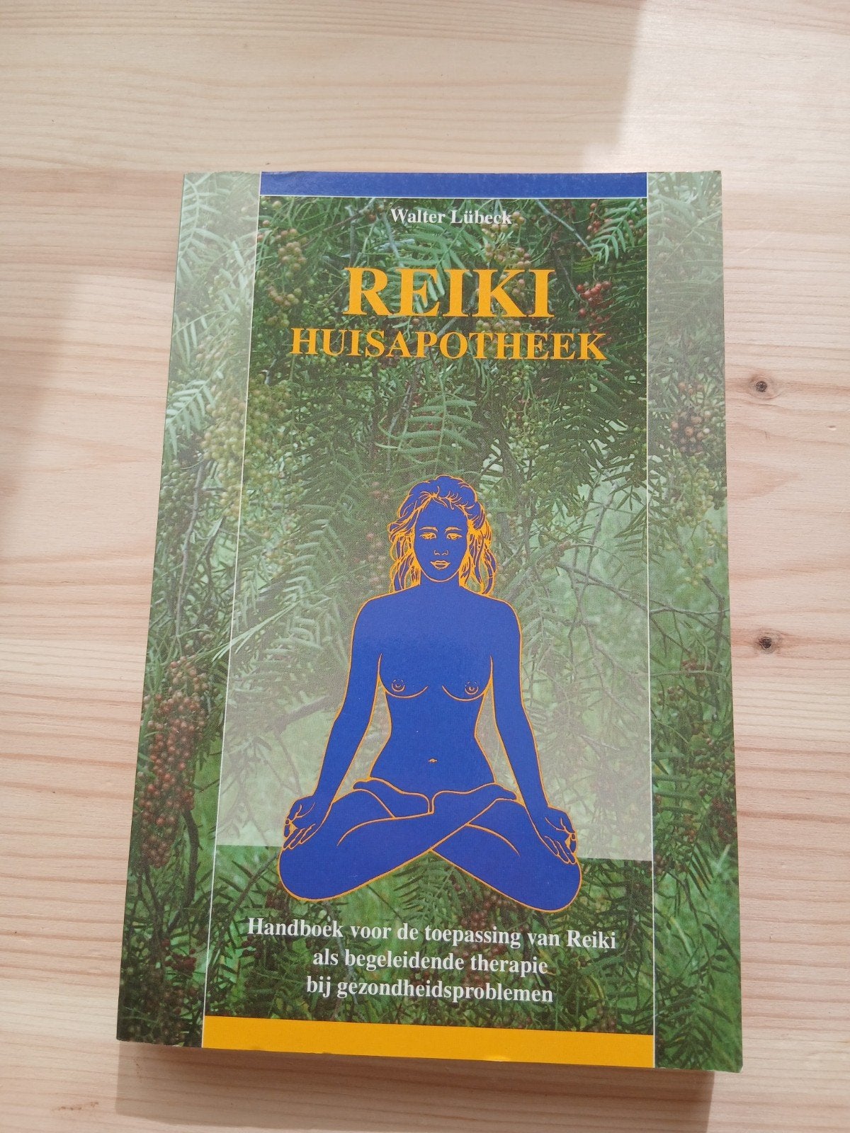 Reiki Huisapotheek - Handboek voor Reiki-toepassing, Sociale wetenschap, Ophalen of Verzenden, Zo goed als nieuw, W. Lubeck