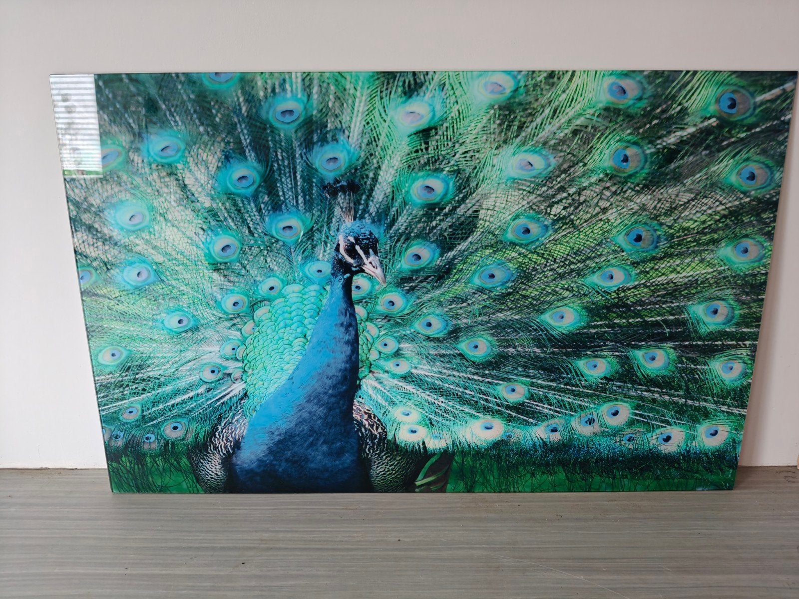 Prachtig glas schilderij, Ophalen, Zo goed als nieuw