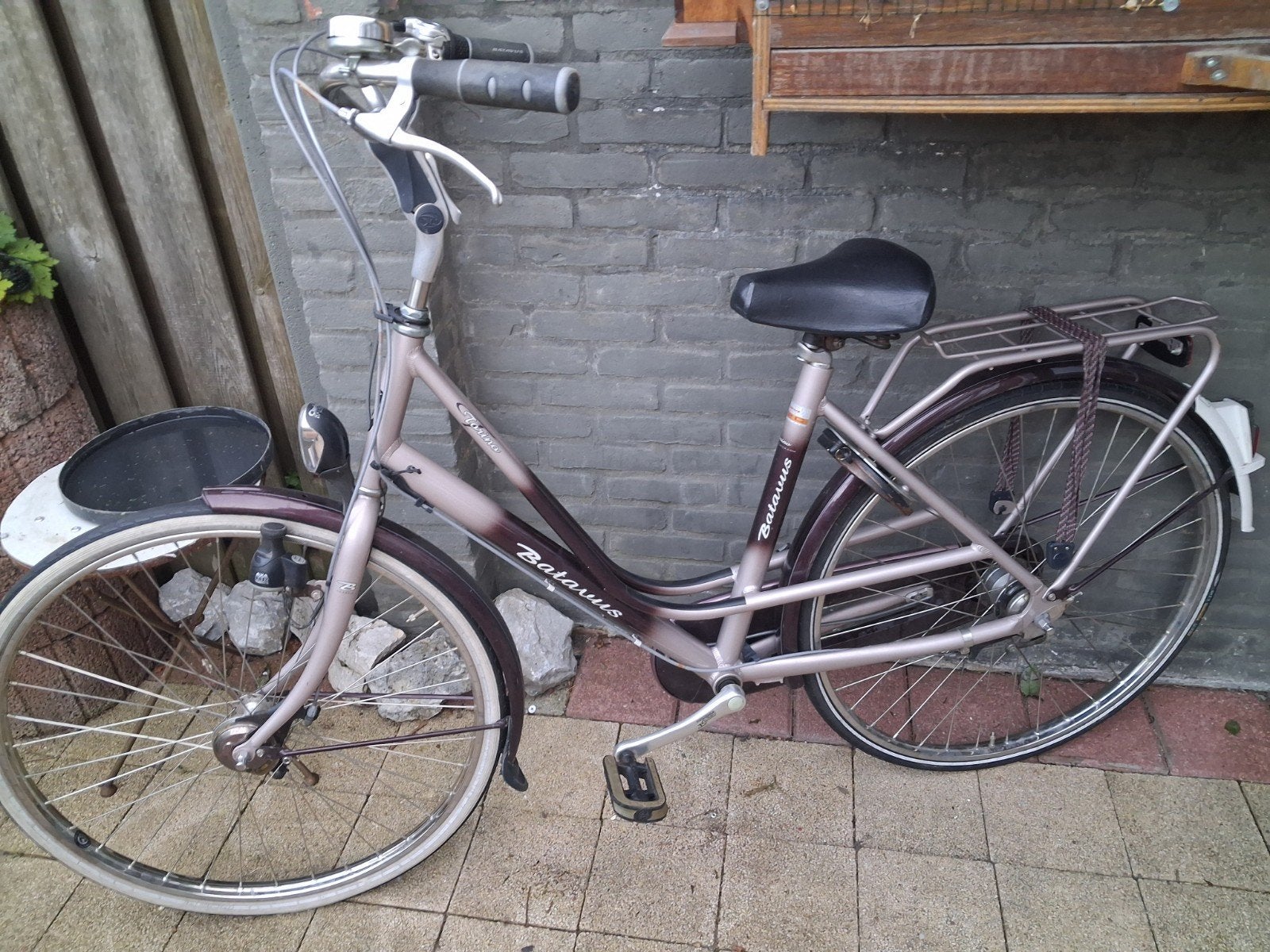 Batavus Torino Damesfiets - Comfortabel en Stijlvol, Ophalen, Velgrem, (Extra) lage instap, Batavus
