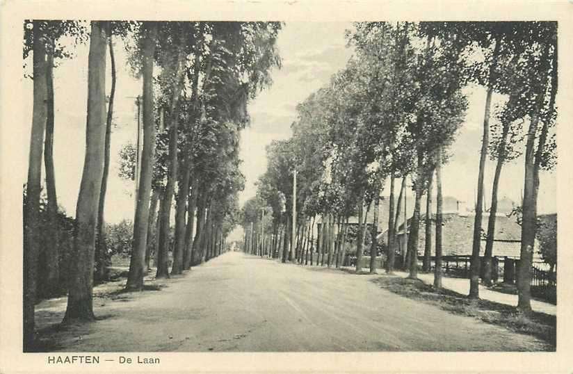 380-741-029 Haaften De Laan, Verzamelen, Ansichtkaarten | Nederland, Verzenden, Voor 1920, Gelderland