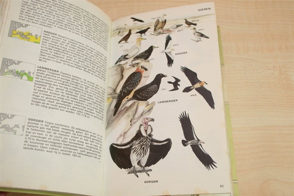 De Europese Vogels in Kleur — Ook N-Afrika & Midden-Oosten, Ophalen of Verzenden, Gelezen, Vogels