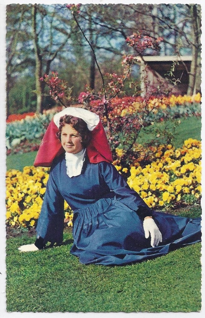 De bloemenvelden in bloei oude ongelopen ansichtkaart (853), Ophalen of Verzenden, 1960 tot 1980, Ongelopen, Zuid-Holland