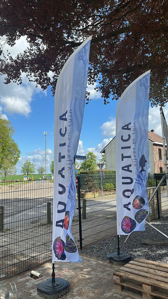 Glanzend fonteinkruid/drijvend fonteinkruid/ranonkel erc, Ophalen, Zo goed als nieuw