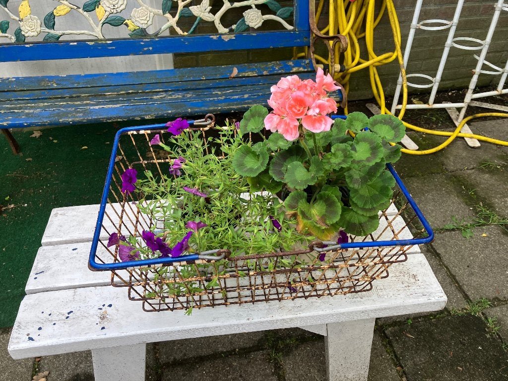 Oud boodschappen mandje, Ophalen of Verzenden