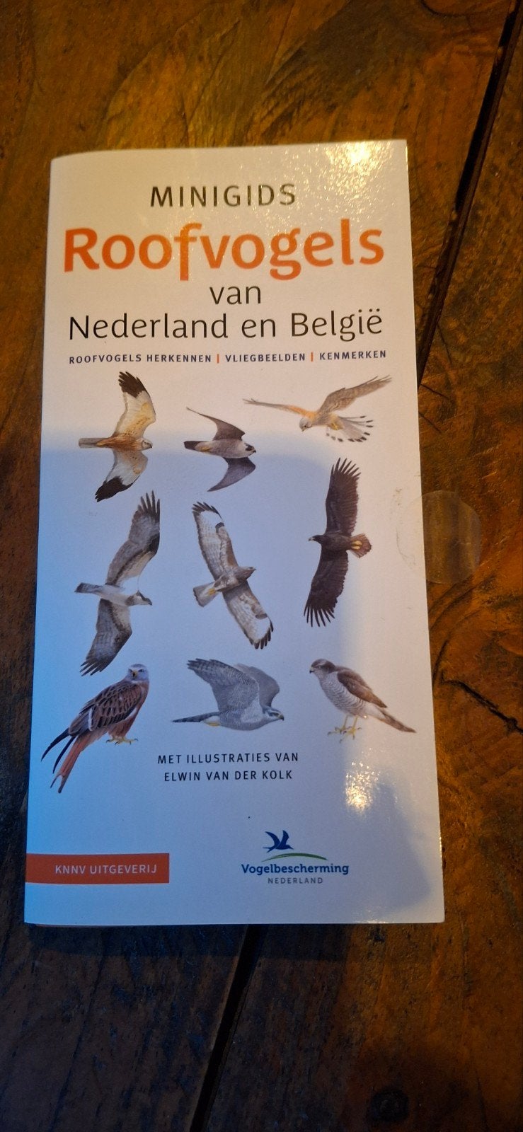 Minigids Roofvogels van Nederland en België, Ophalen of Verzenden, Zo goed als nieuw, Elwin van der Kolk, Vogels