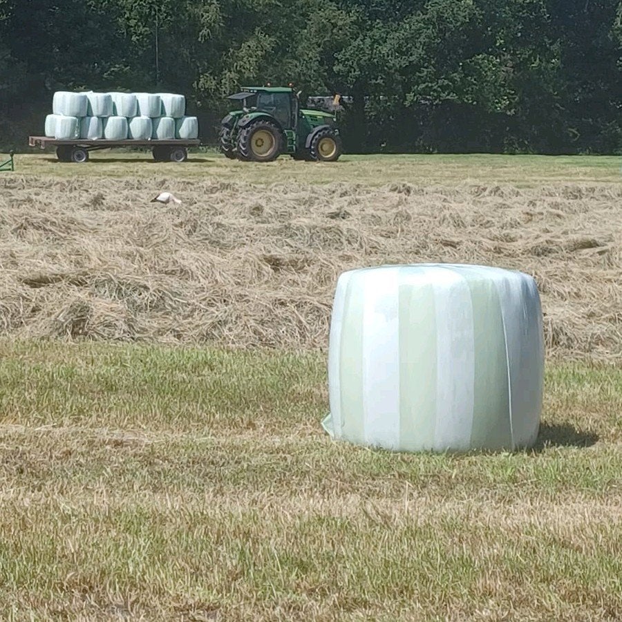 Midi balen. Midibaal., Dieren en Toebehoren, Ophalen, Vee