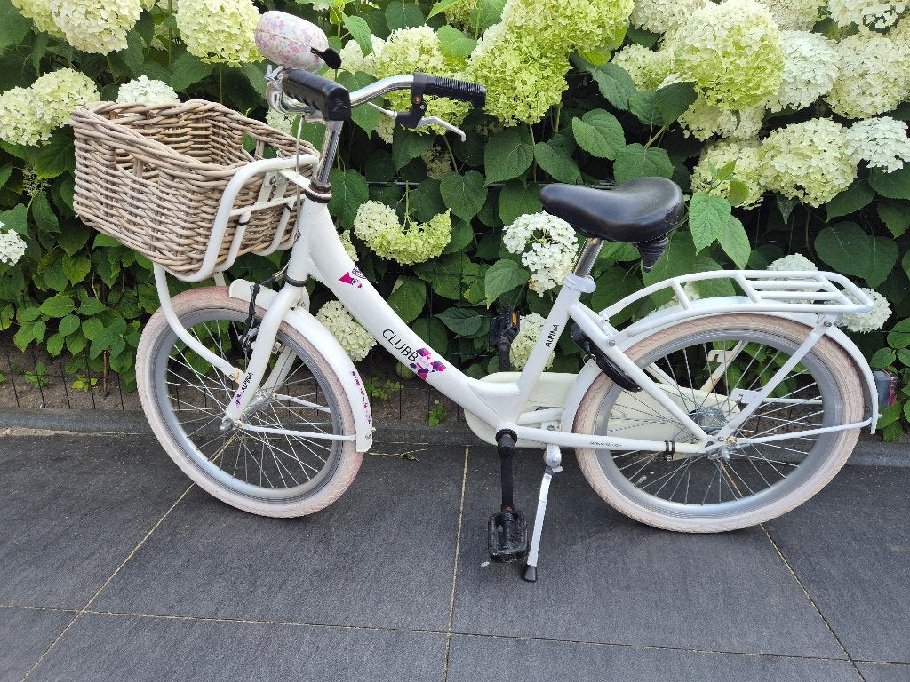 Alpina meisjesfiets 20 inch, Ophalen, Terugtraprem, Gebruikt, ALPINA