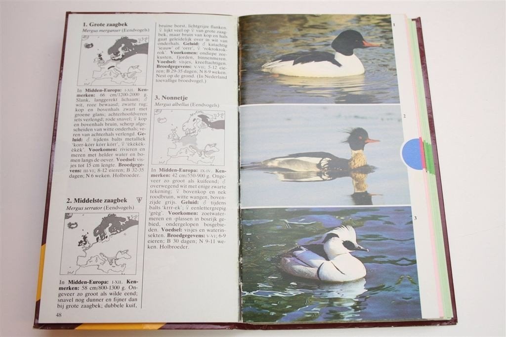 Vogelgids in Kleur — Veldgids Alle Europese Vogelsoorten, Ophalen of Verzenden, Gelezen, Vogels