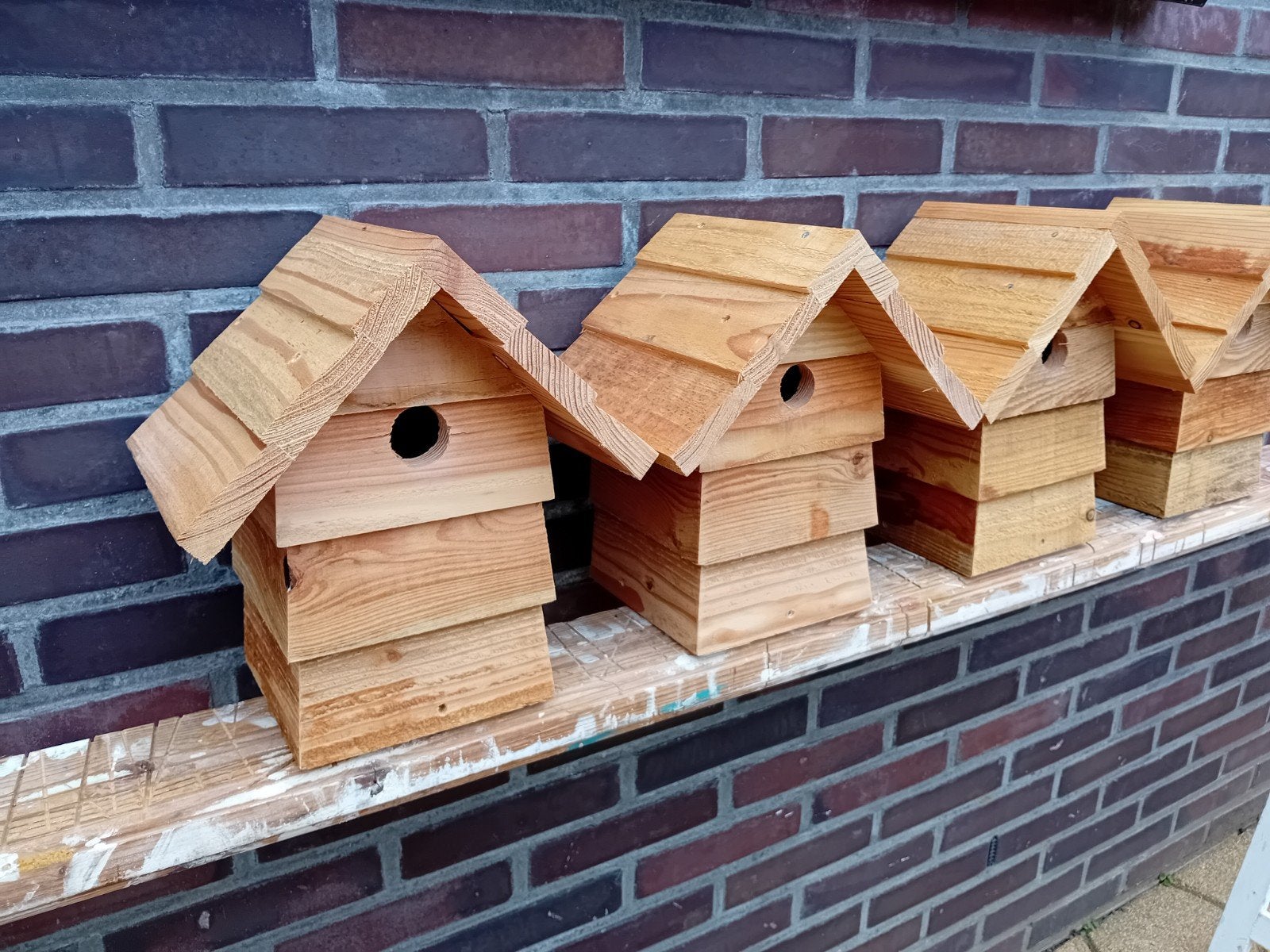 veel vogelhuisjes nestkastjes pimpelmees koolmees hout, Ophalen of Verzenden, Nieuw